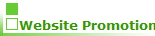 Website Promotion