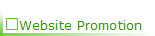 Website Promotion
