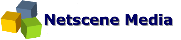 Netscene media website design