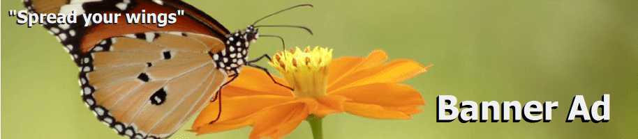 bannerad